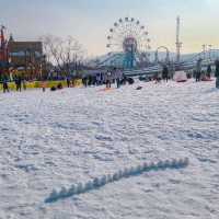 나도 드디어 눈 봤다 ❄ 
