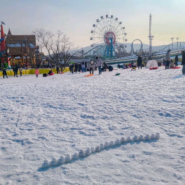 나도 드디어 눈 봤다 ❄ 