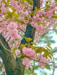 [서울] 이런날씨에 딱❗️ 보라매공원🌳
