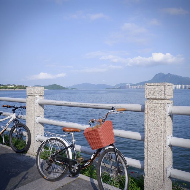 單車遊大尾督