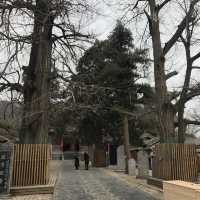 The birth place of Shaolin Kungfu