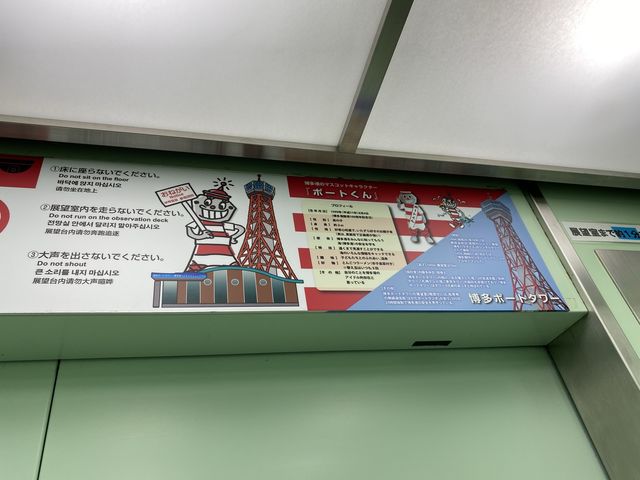 無料スポット！博多ポートタワーから見える風景