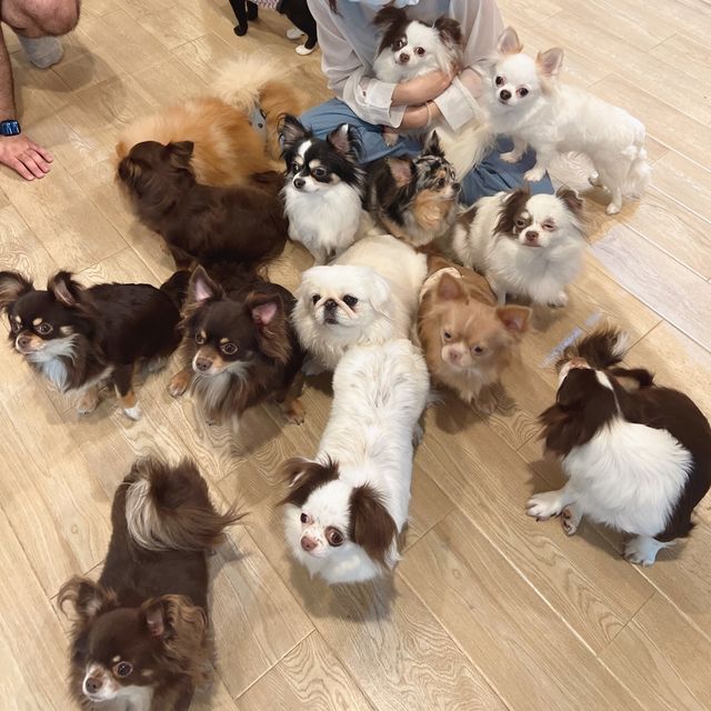 自動自覺被寵愛cafe🥰