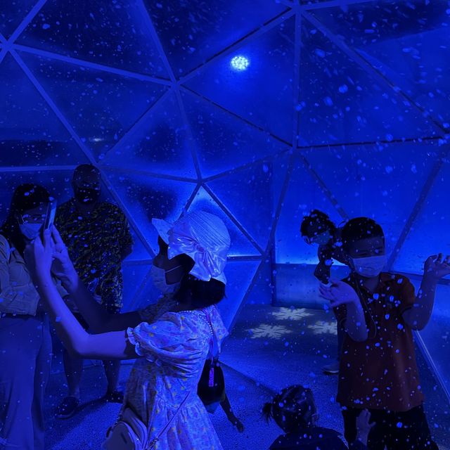 近距離欣賞海底世界的水族館！