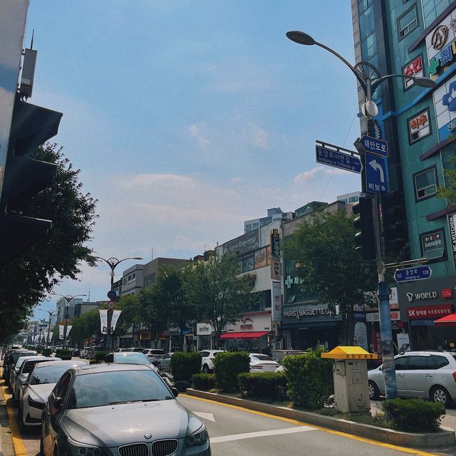 속초종합중앙시장 💡강원도 여행