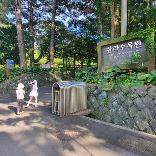 산림욕 하기 좋은 제주 한라수목원