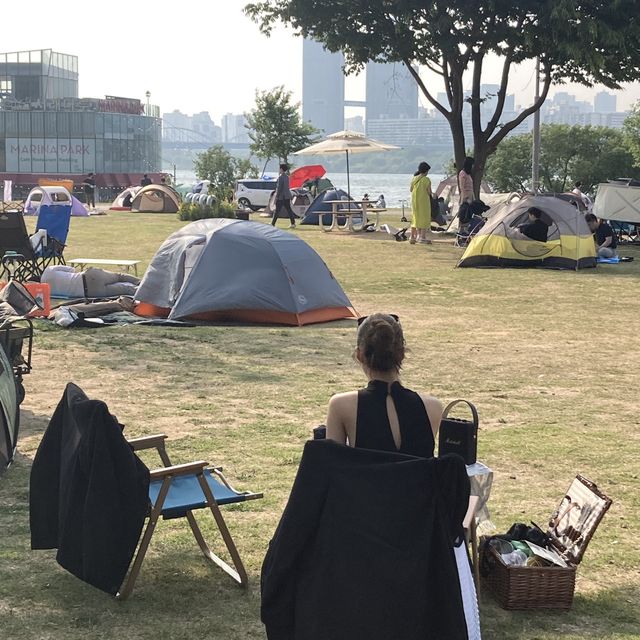 반포 한강지구 피크닉 