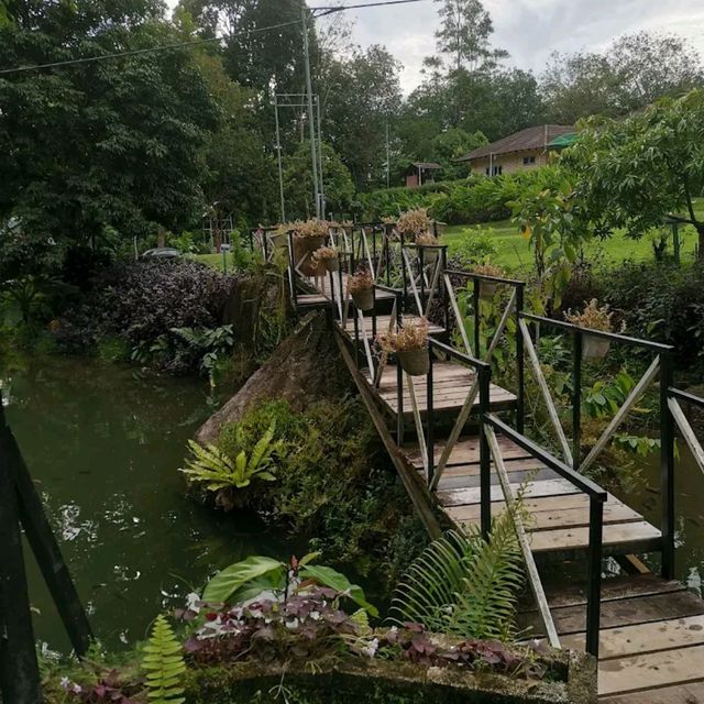 The Nahara Kalumpang 