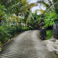 Warung Bonda Rumah Hutan Terapi Alam