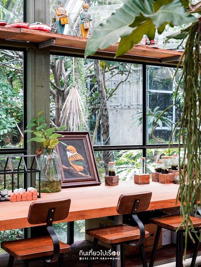 🌵Botanist Activity Space & Cafe