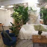A pet friendly hotel in Tsuen Wan 