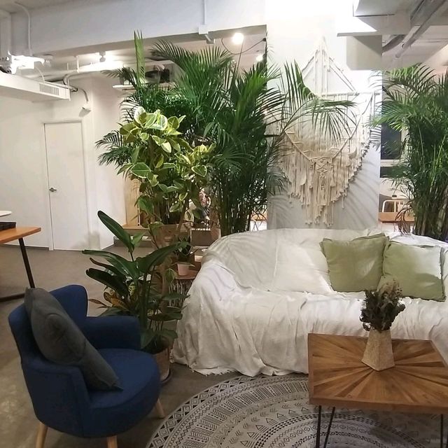 A pet friendly hotel in Tsuen Wan 