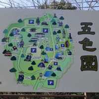 世にも奇妙な公園