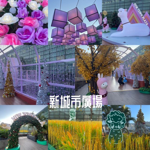 聖誕🎄新城市粉紅草泥馬🦙閃閃世界💕浪漫🌹打卡必到