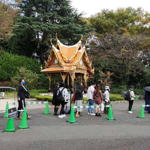Not Just Animals, Ueno Zoo in Tokyo