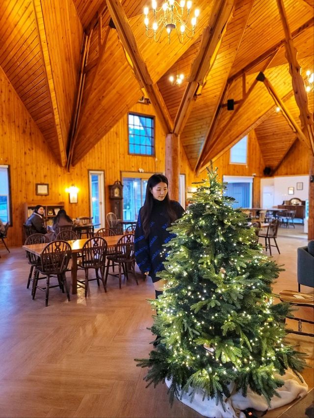숲속산장에서 크리스마스 즐기는 기분, 청도 카페월든🎄