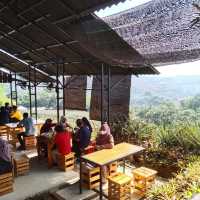 Saudagar Nanas Agrofarm, lokasi menarik!