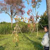  Hong Kong Wetland Park 