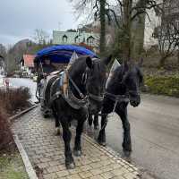 Horse carriage to Neuschwanstein Castle 