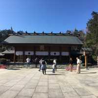 【千葉】桜の名所　櫻木神社