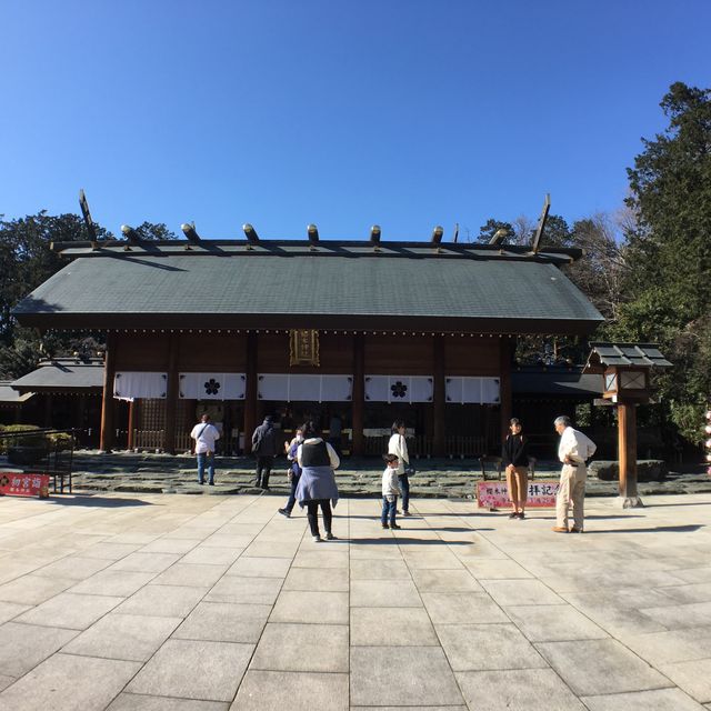 【千葉】桜の名所　櫻木神社