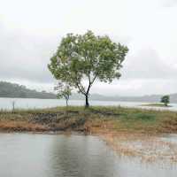 bukit batu tumpang Lampung