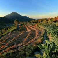 SUMBING MOUNTAIN