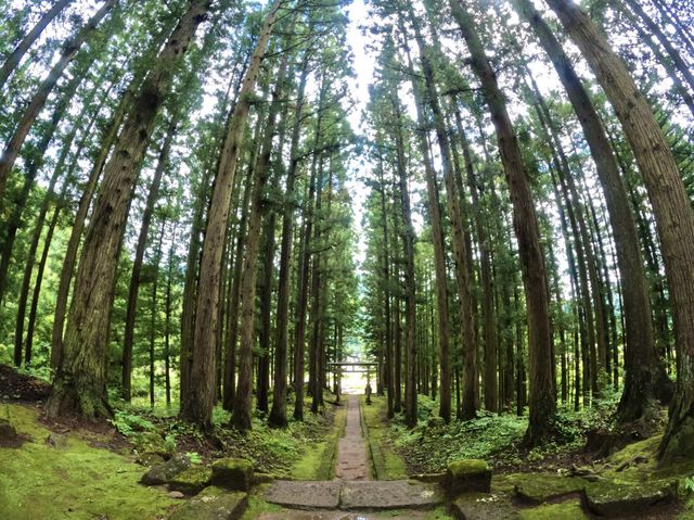 【大自然】清々しく荘厳な雰囲気！？