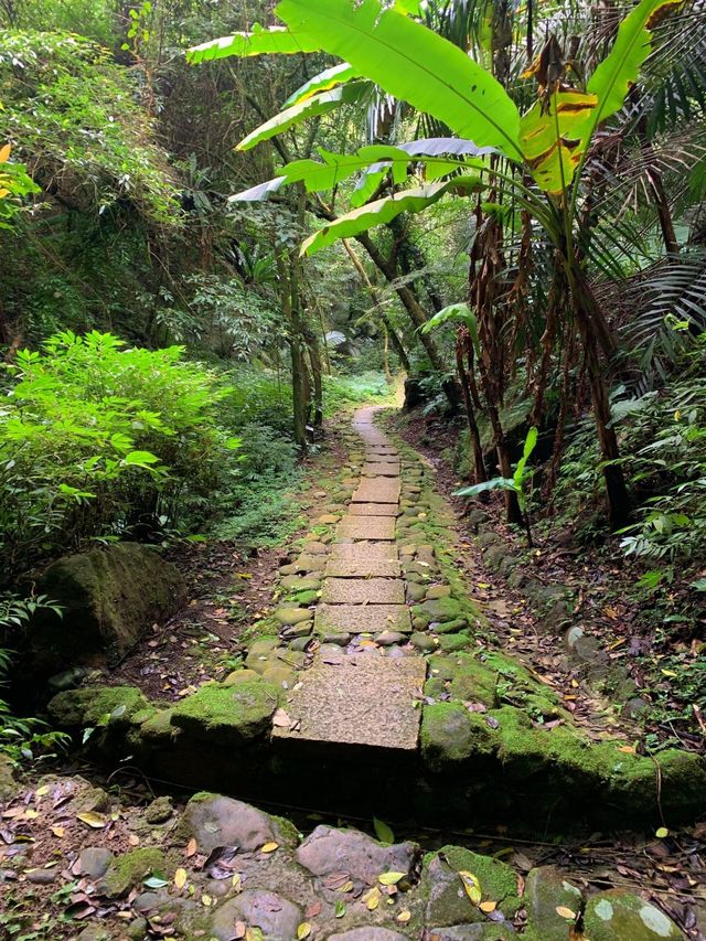 新竹北埔獅頭山風景區景點｜藤萍步道、歇心茶樓、北埔老街感受濃情客家風味