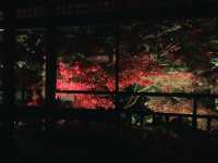 京都[紅葉めぐり]   幻の紅葉　瑠璃光院