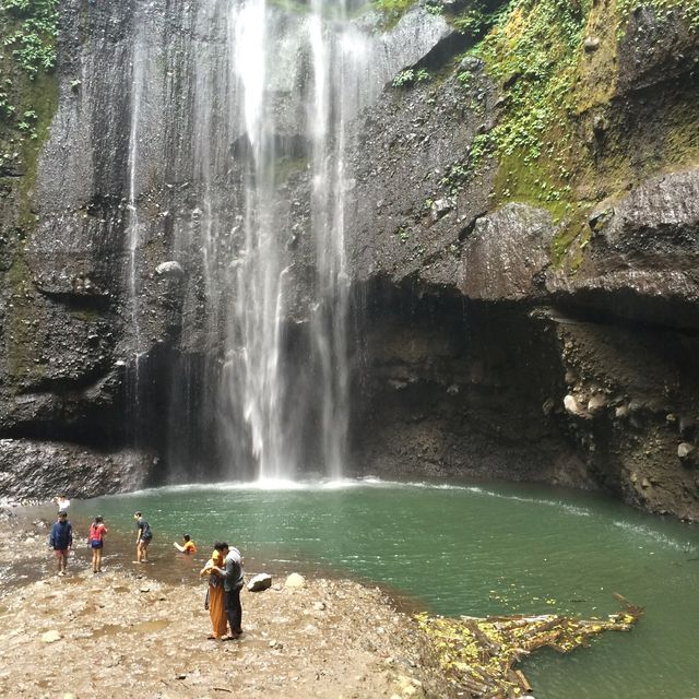 Winsome Waterfall Madakaripura