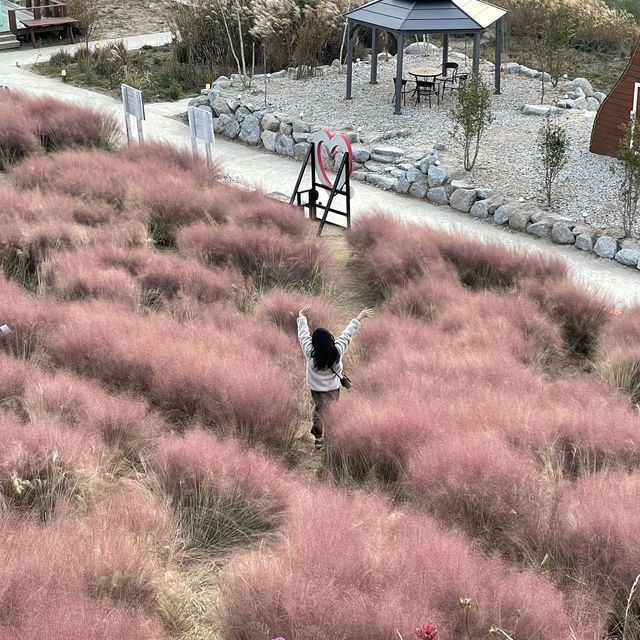 강원도 강릉시 호린파크에서 해외를 느껴보세요