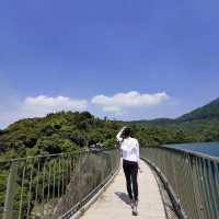 港版嵐山竹林道
