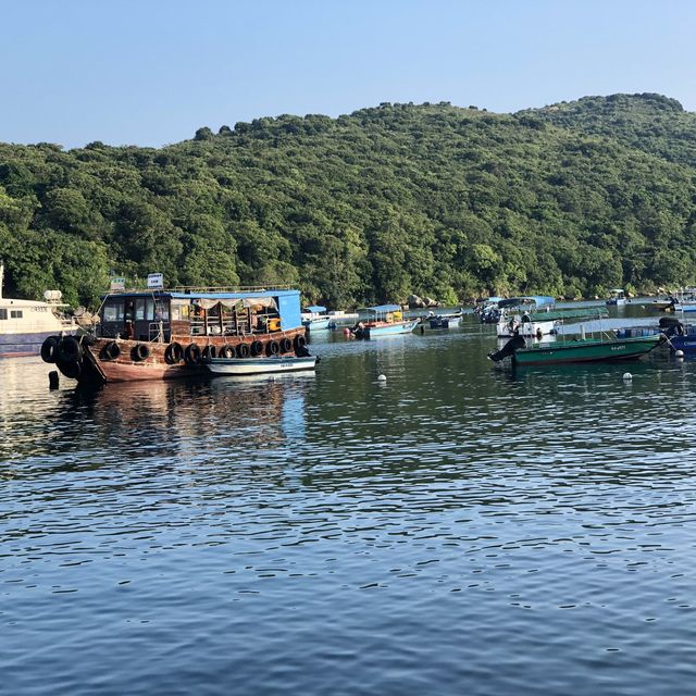 Grass Island (Tap Mun) - Camping Site to Hong Kong Getaway