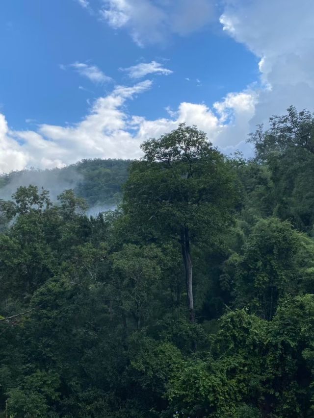 🌳ชุ่มฉ่ำกับธรรมชาติ น้ำตกก้อหลวง ณ ลำพูน🐠