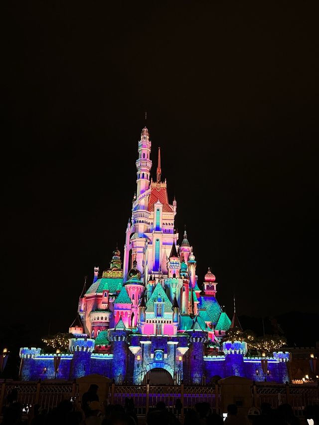 🎆迪士尼星夢光影之旅🎇