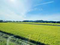 秋田県に行ったら訪れてほしい 田沢湖