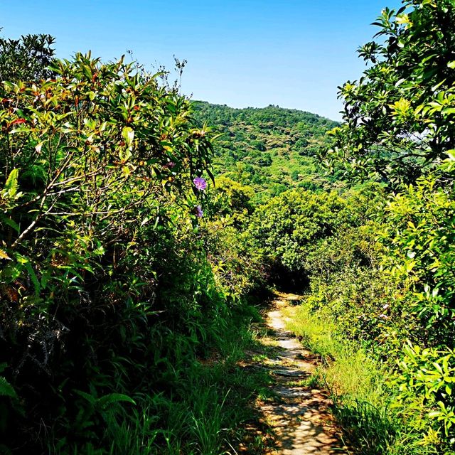 北港古道•茅坪坳•大水井古道
