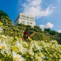 Flower Valley Tay Ho