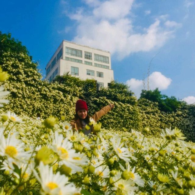 Flower Valley Tay Ho
