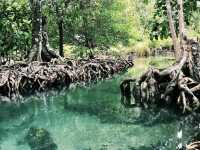Pa Phru Tha Pom Khlong Song Nam ท่าปอมคลองสองน้ำ 