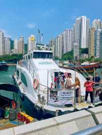 當上「小航海家」探索南港島遊