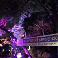 양산 통도사 야간개장! 화엄세계로의 초대 미디어 아트 함께봐요