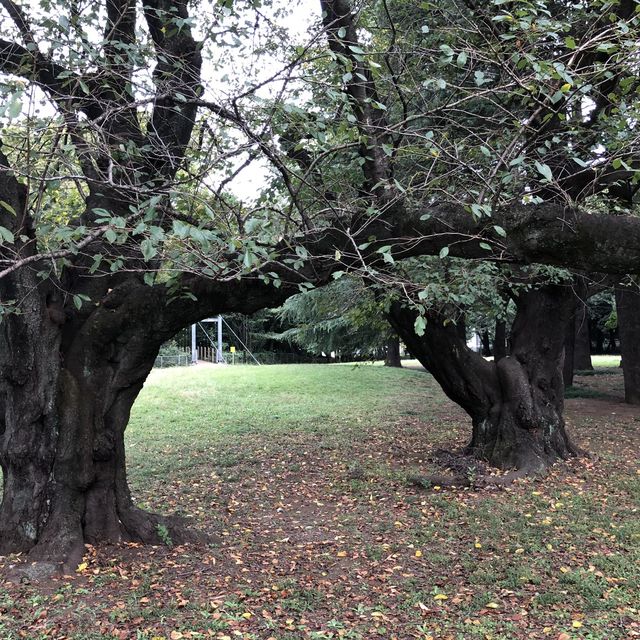 【きぬた公園】 【きぬた公園】