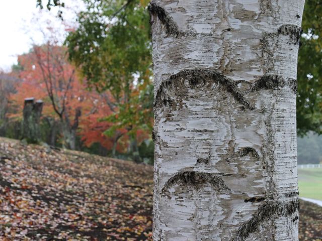 【遠軽】早秋を楽しめる！太陽の丘えんがる公園をご紹介