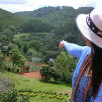 View Nearby Dalat Cable Car Station