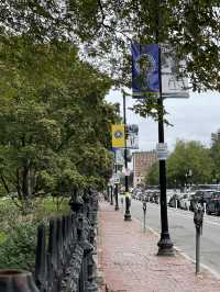보스턴에서 피크닉을 💚 Boston Common 