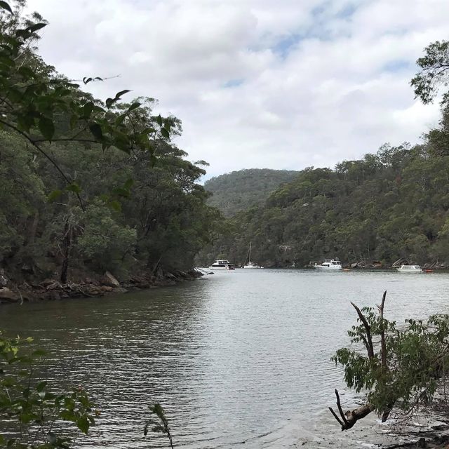 Kuring Gai brush walk