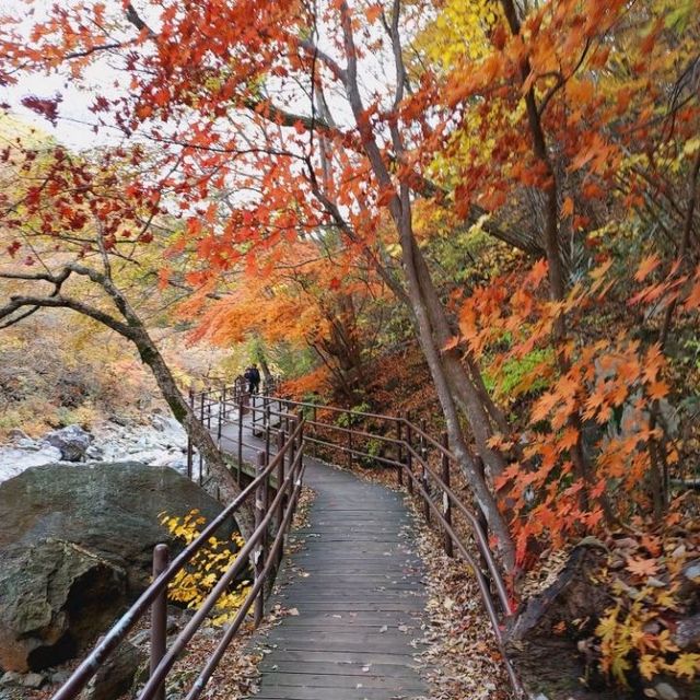 Colours of Baemsangol at Jirisan during Fall