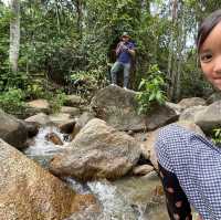 Day Trip - Back to Nature Cafe